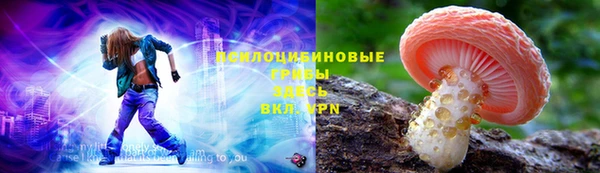 ГАЛЛЮЦИНОГЕННЫЕ ГРИБЫ Баксан