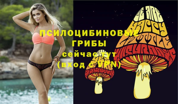 стафф Балабаново