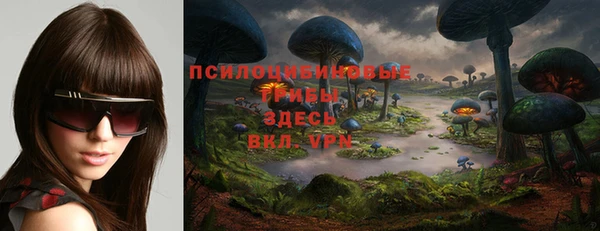 ГАЛЛЮЦИНОГЕННЫЕ ГРИБЫ Баксан